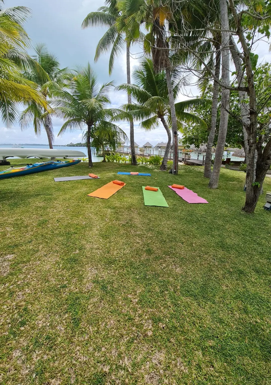 Yoga mats set out beneath palms by the lagoon